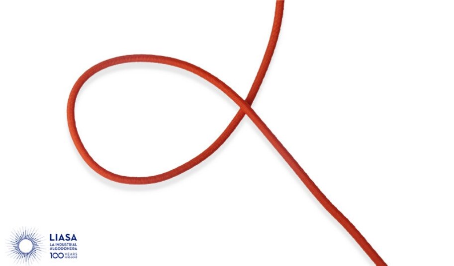 Elastic cord